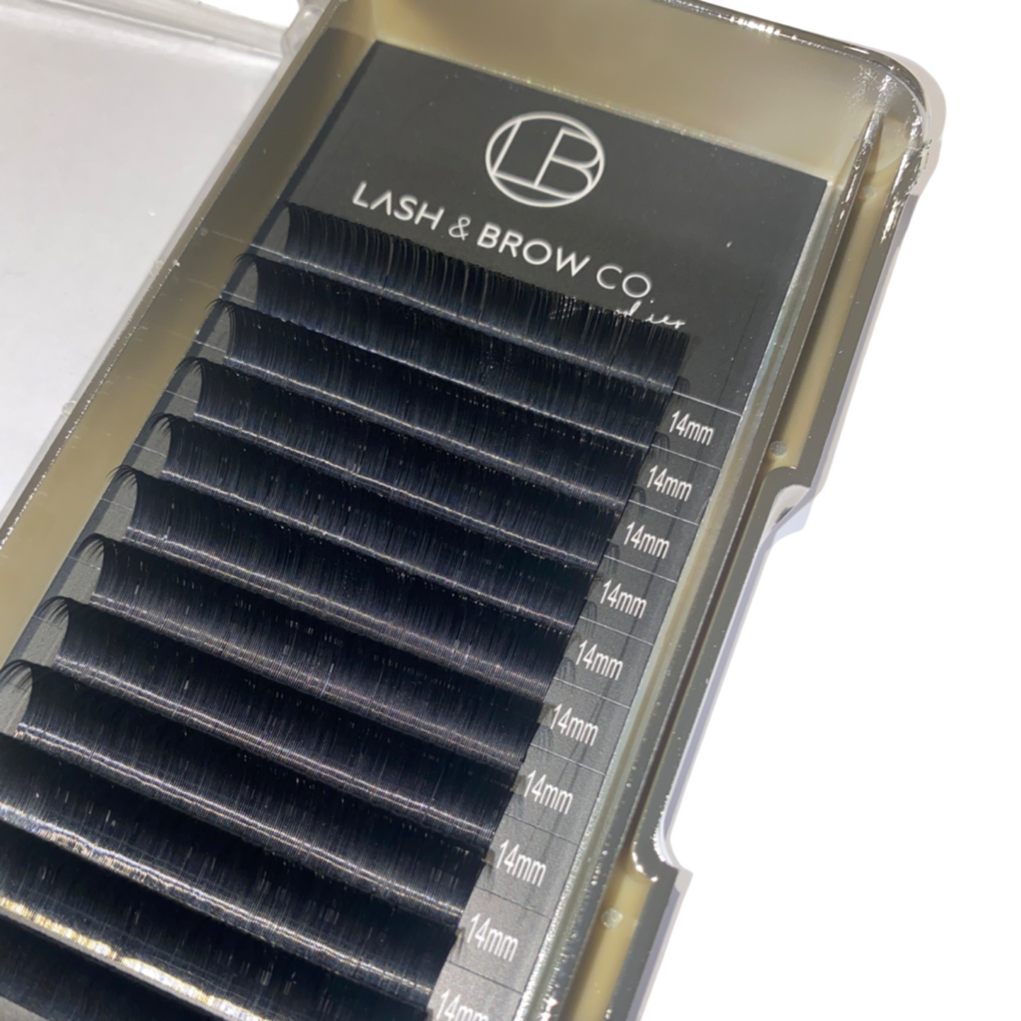 SILK LASHES