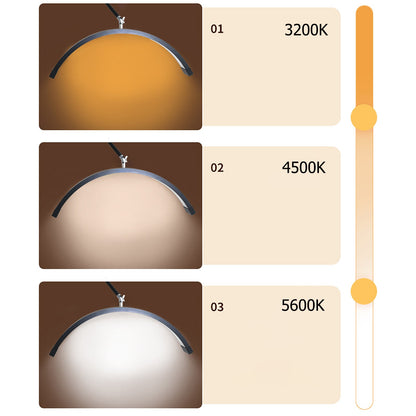 LUNA GLOW BEAUTY MOON LIGHT-  WALL/ROOF MOUNT