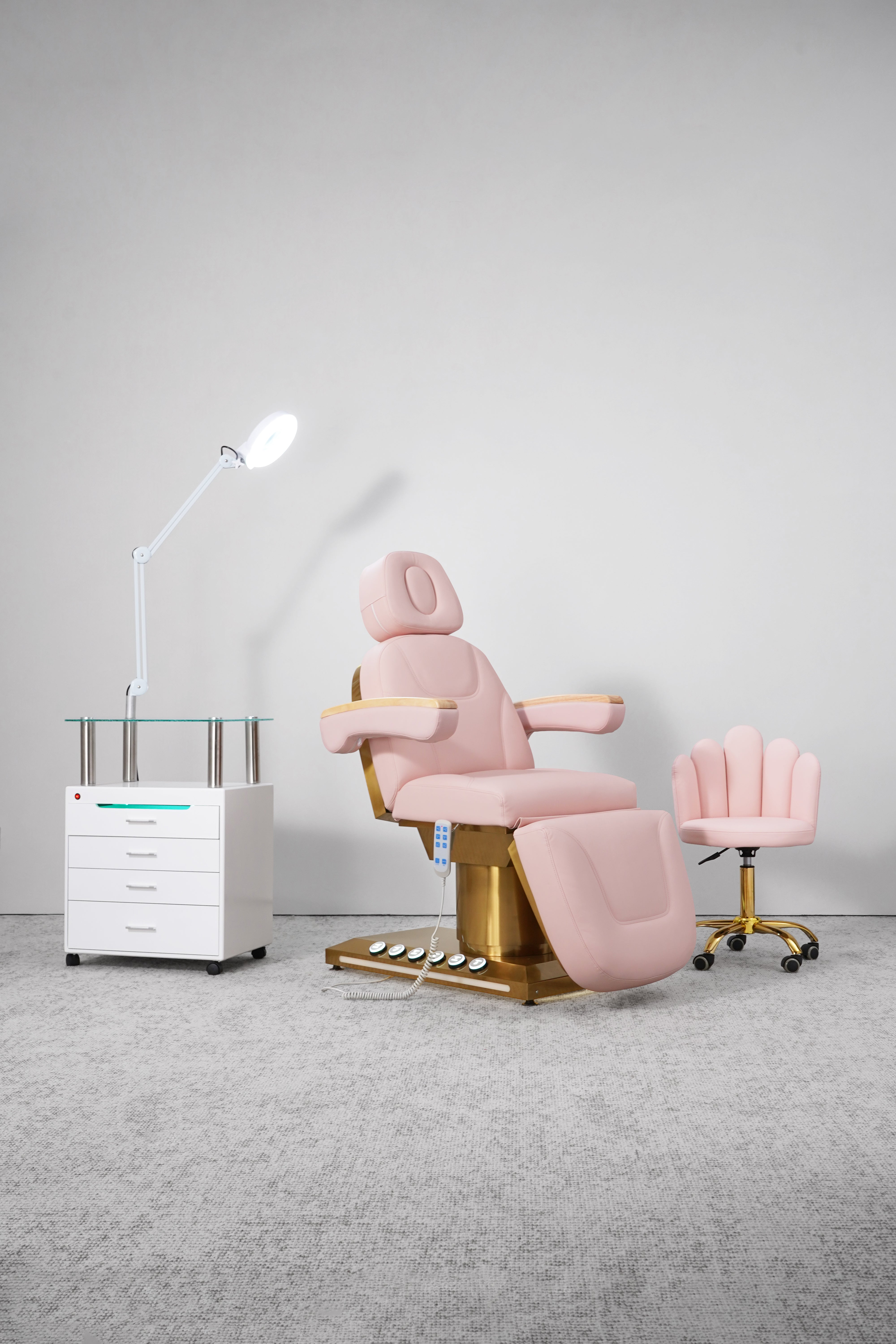 DERMA LUXE PRO AESTHETICS/INJECTORS SPECIAL EDITION BED (ELECTRIC)