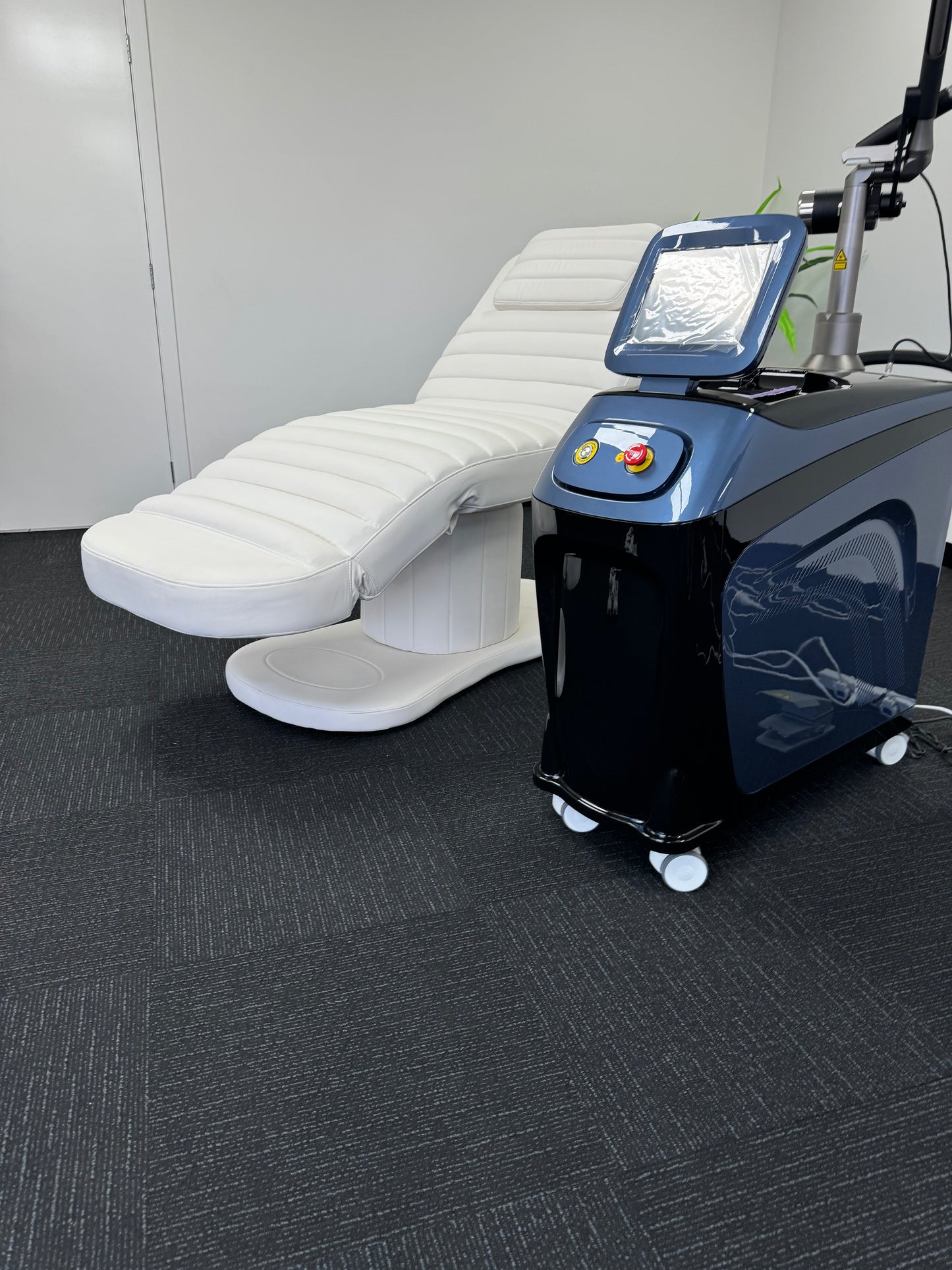 THE LUSH  BEAUTY AESTHETICS/INJECTORS SPECIAL EDITION BED (ELECTRIC)